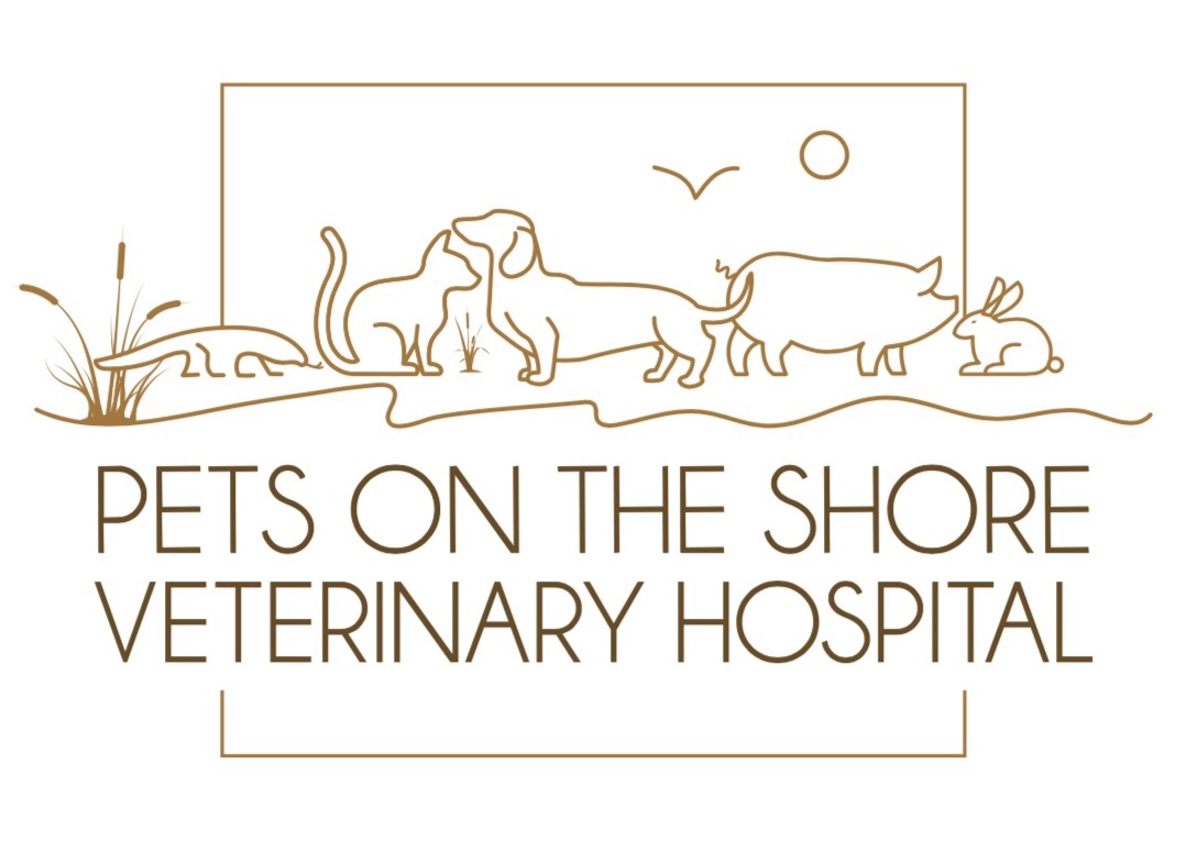 Pets on the shore Logo